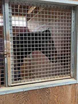 ノーザンホースパークに投稿された画像（2026/3/28）