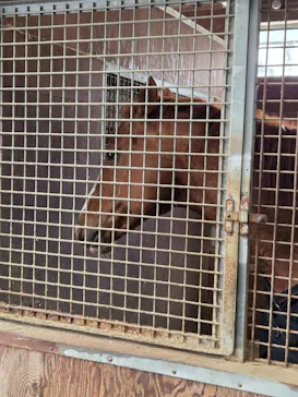 ノーザンホースパークに投稿された画像（2026/3/28）