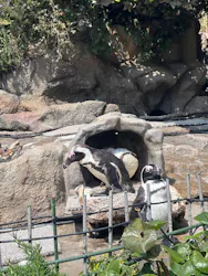 サンシャイン水族館に投稿された画像（2026/3/29）