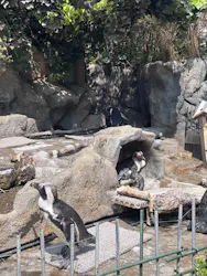 サンシャイン水族館に投稿された画像（2026/3/29）