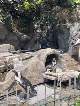 サンシャイン水族館に投稿された画像（2026/3/29）