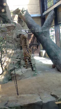 東武動物公園に投稿された画像（2026/3/29）
