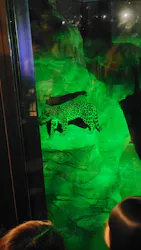 東武動物公園に投稿された画像（2026/3/29）