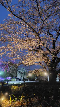 東武動物公園に投稿された画像（2026/3/29）