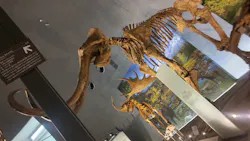 福井県立恐竜博物館に投稿された画像（2026/3/29）