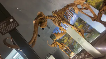 福井県立恐竜博物館に投稿された画像（2026/3/29）