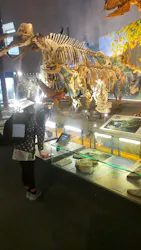 福井県立恐竜博物館に投稿された画像（2026/3/29）