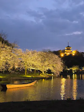 三溪園に投稿された画像（2026/3/29）