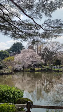 新宿御苑に投稿された画像（2026/3/29）