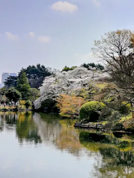新宿御苑に投稿された画像（2026/3/29）