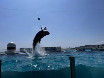 鴨川シーワールドに投稿された画像（2026/3/29）