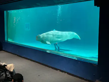 鴨川シーワールドに投稿された画像（2026/3/29）