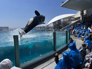 鴨川シーワールドに投稿された画像（2026/3/29）