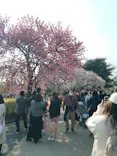 新宿御苑に投稿された画像（2026/3/29）