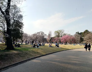 新宿御苑に投稿された画像（2026/3/29）