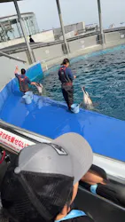大分マリーンパレス水族館 「うみたまご」に投稿された画像（2026/3/29）