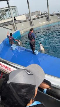 大分マリーンパレス水族館 「うみたまご」に投稿された画像（2026/3/29）