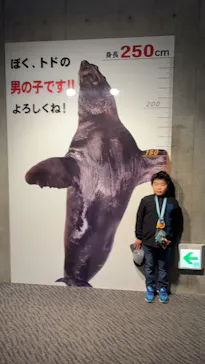 大分マリーンパレス水族館 「うみたまご」に投稿された画像（2026/3/29）