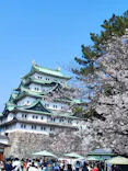 名古屋城に投稿された画像（2026/3/29）