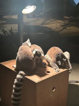 NIFREL（ニフレル）に投稿された画像（2026/3/29）