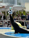 サンシャイン水族館に投稿された画像（2026/3/29）