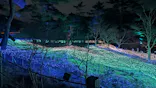 KYOTO ILLUMINATION SYNESTHESIA HILLS るり渓温泉に投稿された画像（2026/3/29）
