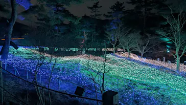 KYOTO ILLUMINATION SYNESTHESIA HILLS るり渓温泉に投稿された画像（2026/3/29）