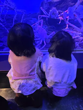 仙台うみの杜水族館に投稿された画像（2026/3/29）