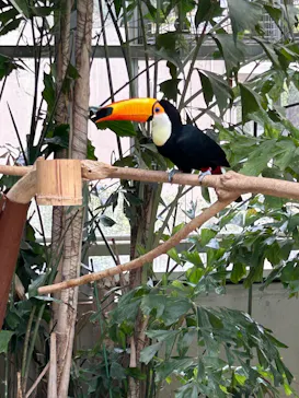 アドベンチャーワールドに投稿された画像（2026/3/29）