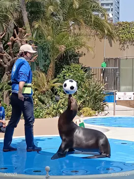 サンシャイン水族館に投稿された画像（2026/3/29）