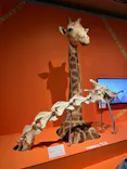 特別展「超危険生物展　科学で挑む生き物の本気」に投稿された画像（2026/3/29）