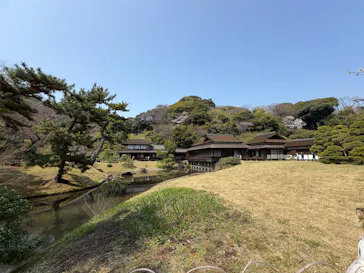 三溪園に投稿された画像（2026/3/29）