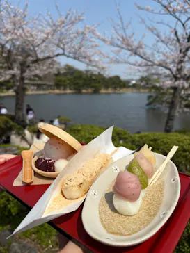 三溪園に投稿された画像（2026/3/29）