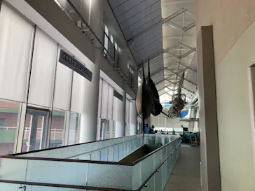 アクアワールド茨城県大洗水族館に投稿された画像（2026/3/29）