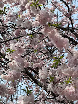 名古屋市東山動植物園に投稿された画像（2026/3/29）