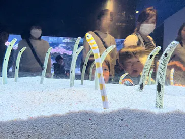 すみだ水族館に投稿された画像（2026/3/29）