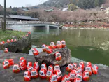 勝尾寺に投稿された画像（2026/3/29）