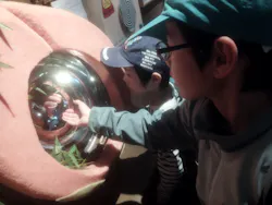 桃太郎のからくり博物館に投稿された画像（2026/3/29）