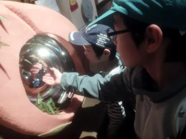 桃太郎のからくり博物館に投稿された画像（2026/3/29）