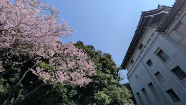 東京国立博物館に投稿された画像（2026/3/29）