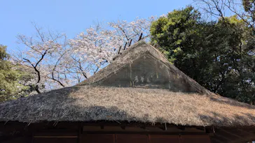 東京国立博物館に投稿された画像（2026/3/29）