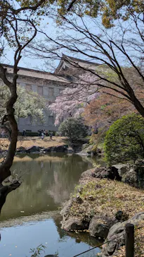 東京国立博物館に投稿された画像（2026/3/29）