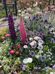 横浜イングリッシュガーデンに投稿された画像（2026/3/29）