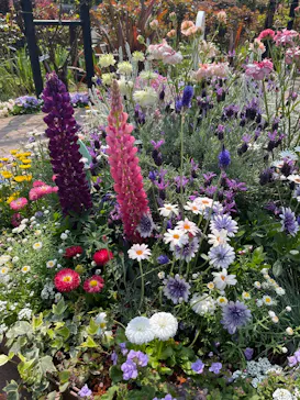 横浜イングリッシュガーデンに投稿された画像（2026/3/29）