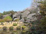 新宿御苑に投稿された画像（2026/3/29）