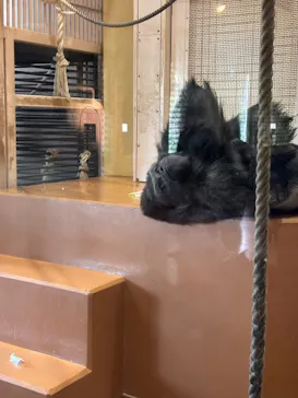 名古屋市東山動植物園に投稿された画像（2026/3/29）