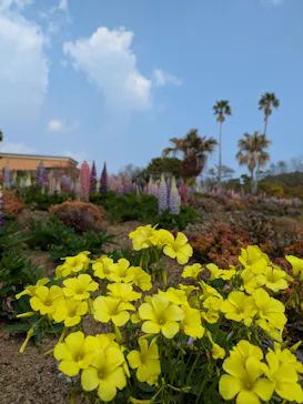 ニューヨークランプミュージアム＆フラワーガーデンに投稿された画像（2026/3/29）