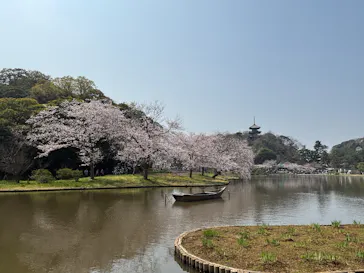 三溪園に投稿された画像（2026/3/29）