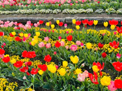 レオマリゾートに投稿された画像（2026/3/29）