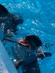 横浜・八景島シーパラダイスに投稿された画像（2026/3/29）